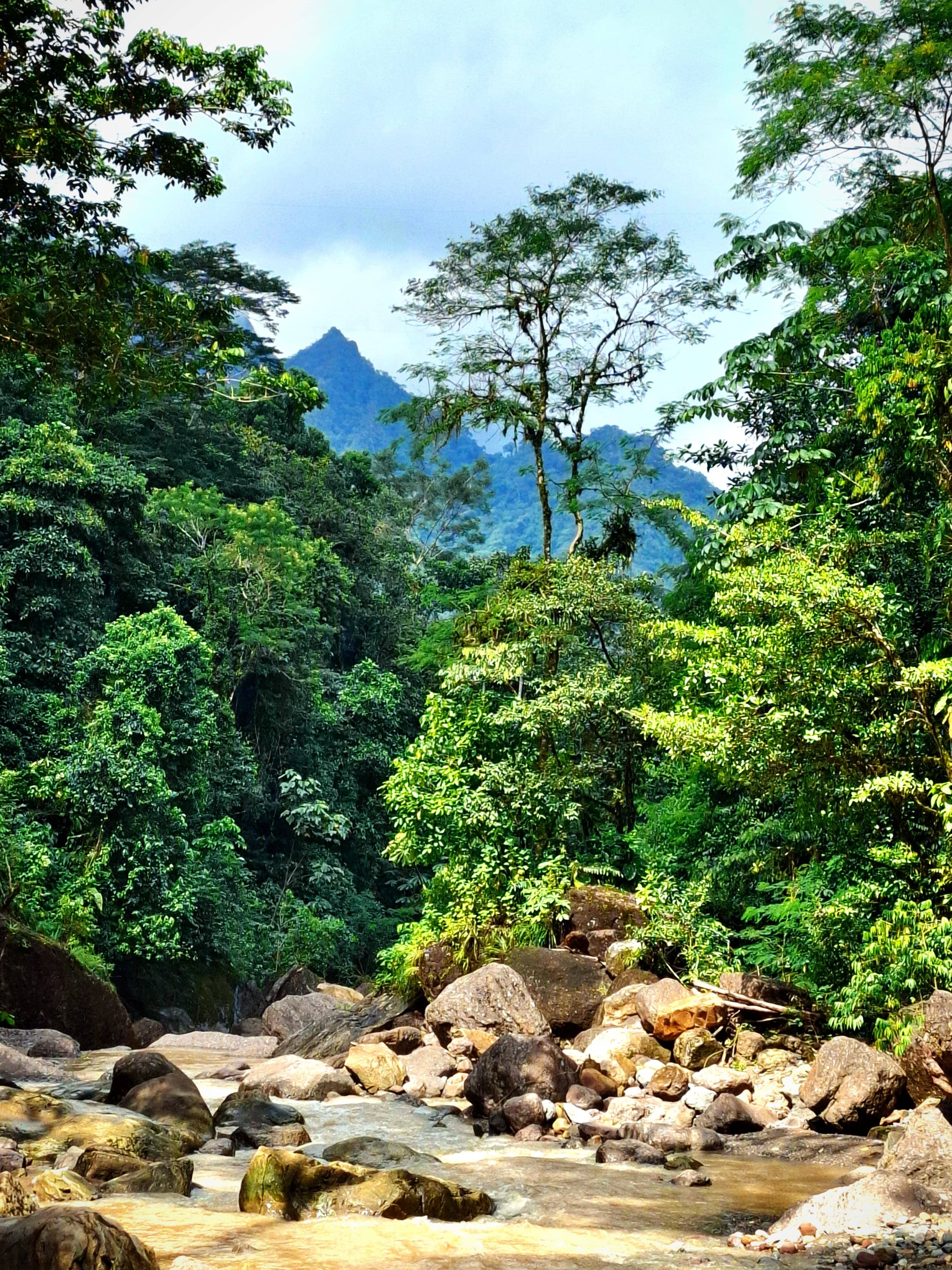 ACR Velo de la Novia