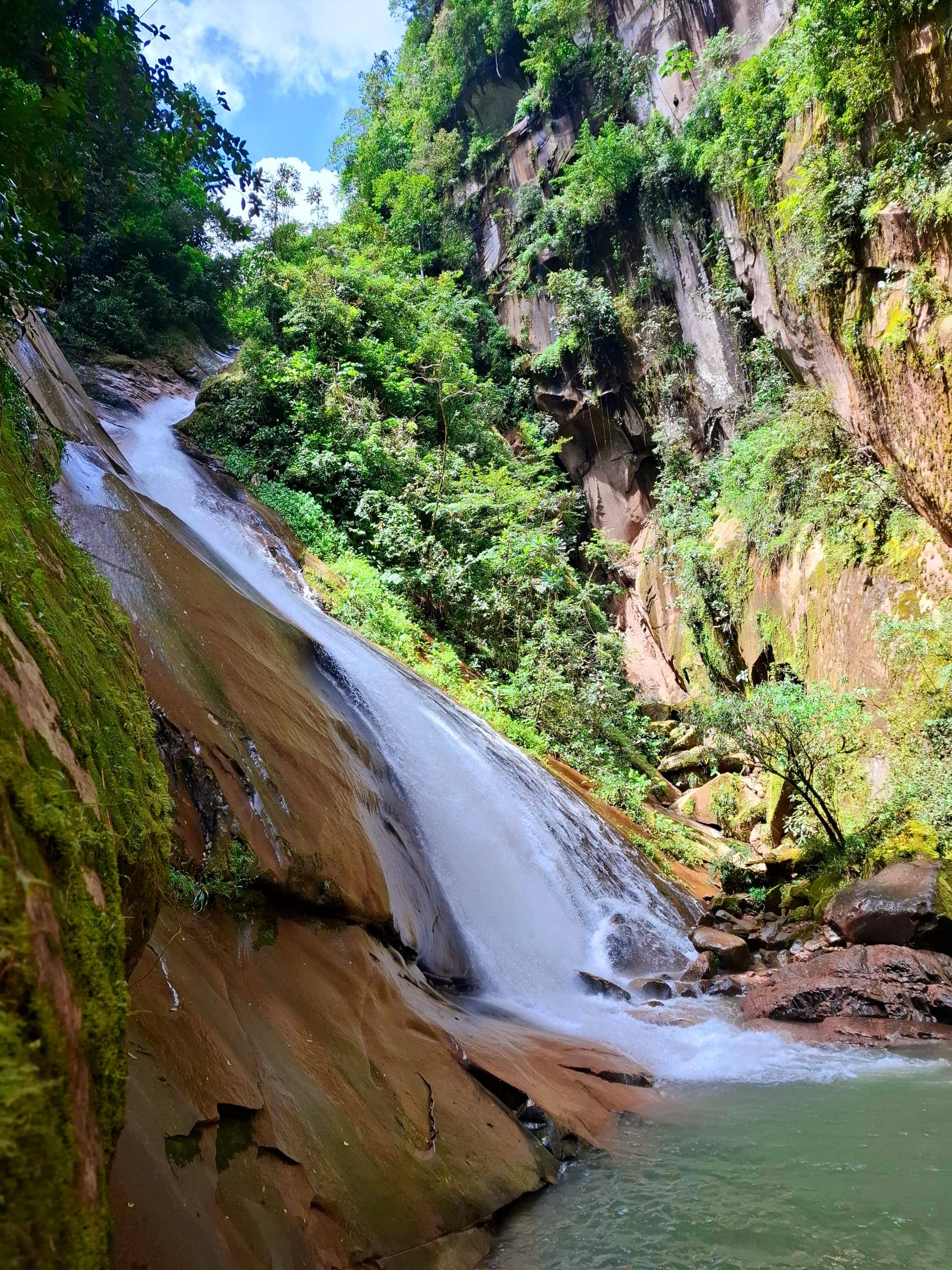 ACR Velo de la Novia