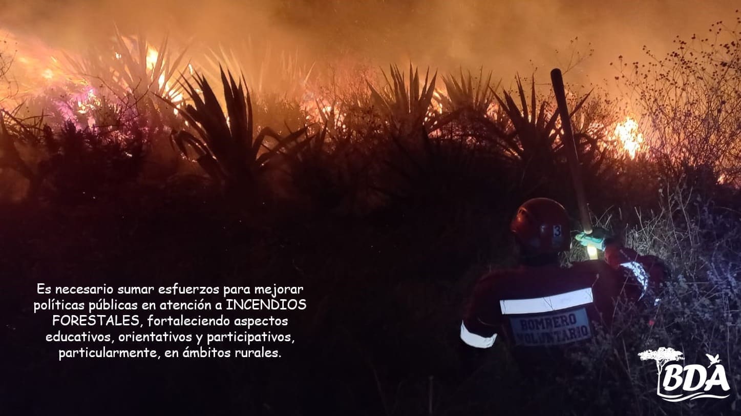 Imagen representativa