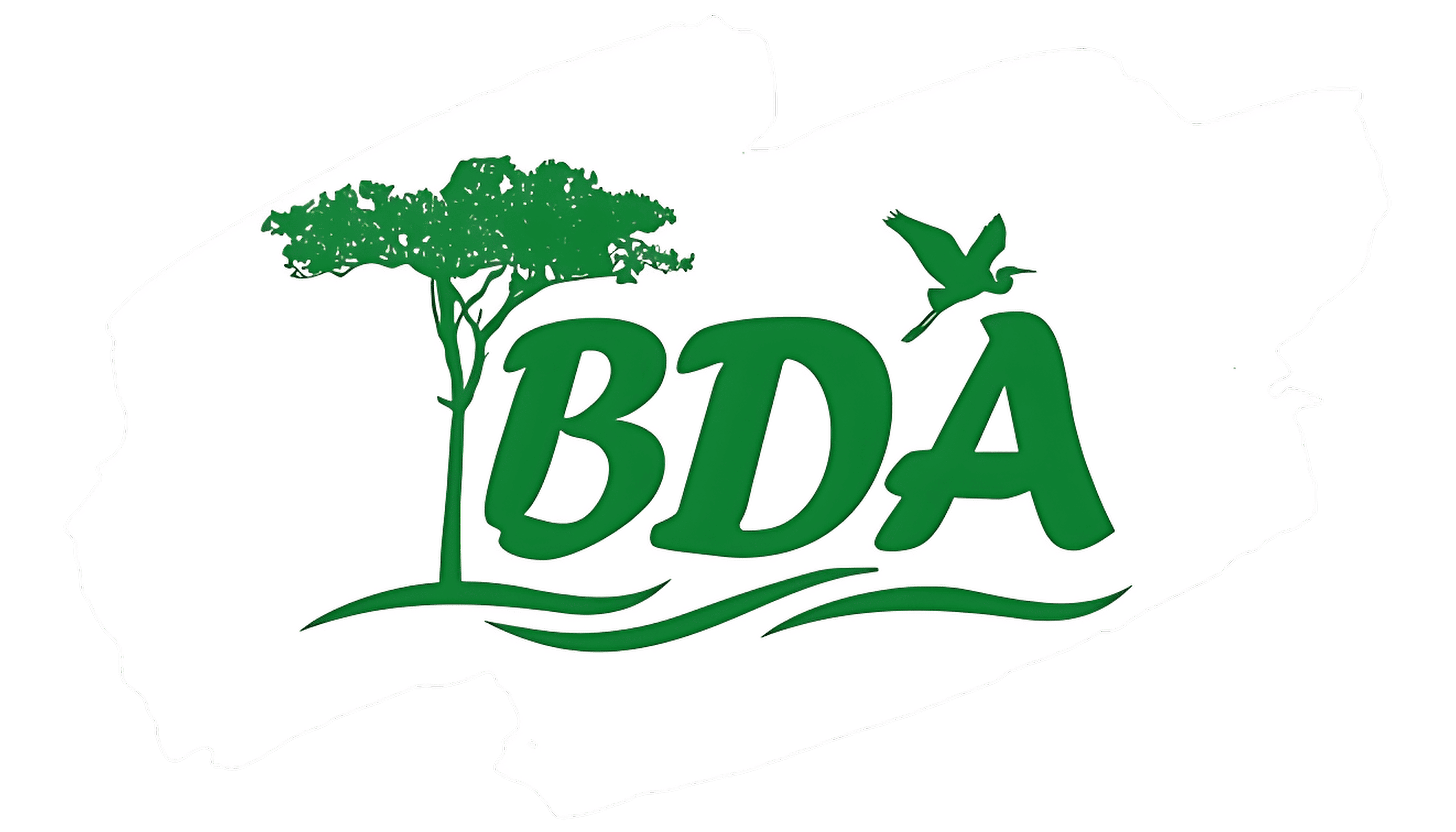 Logo BDA Amazonia