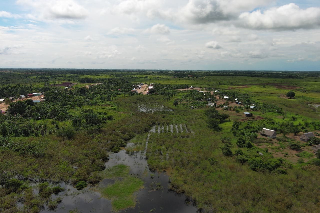 Manejo del Camu Camu